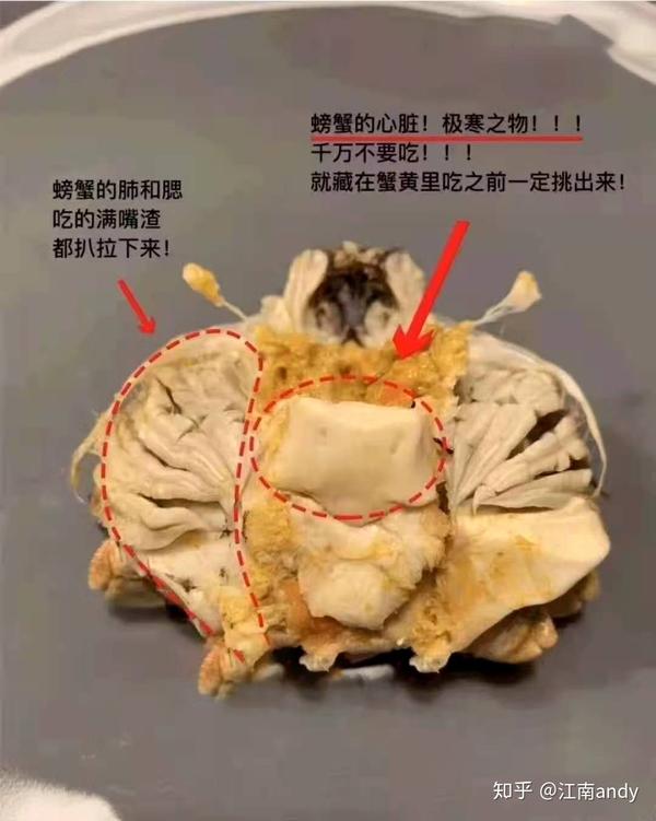 (3)蟹肺蟹腮:这个蟹肺是蟹心两边的白白的灰灰的一片一片的软组织