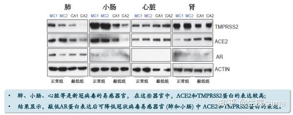 开拓药业普克鲁胺背后的科学家