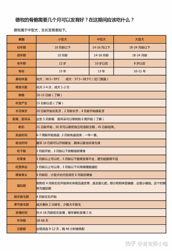 题主好,这里整理了一下德牧的生长周期和喂食注意表,希望能帮到你.