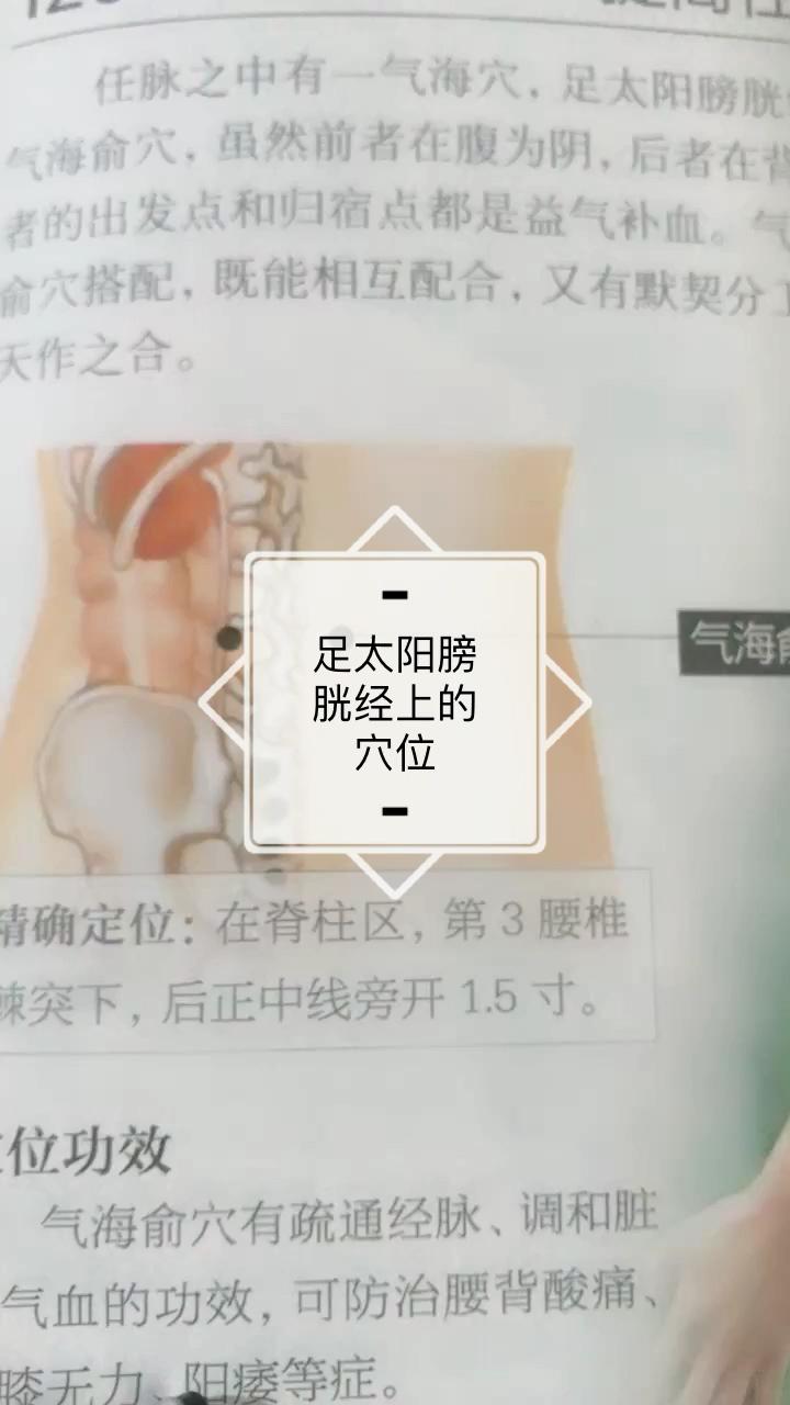 80后#拓博士解说:气海俞穴-腰酸背痛就敲它