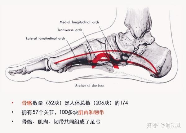 想要脚踏实地快来看看有没有足弓塌陷吧