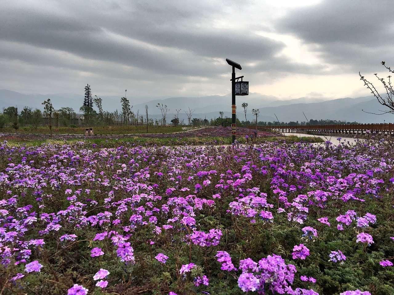 西昌是一座浪漫的花城.