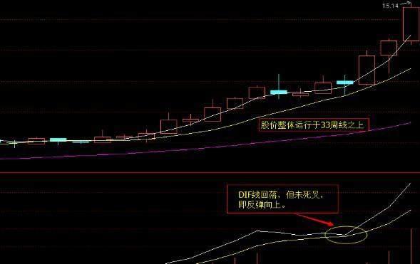 江恩八线和macd指标如何配合买卖操作