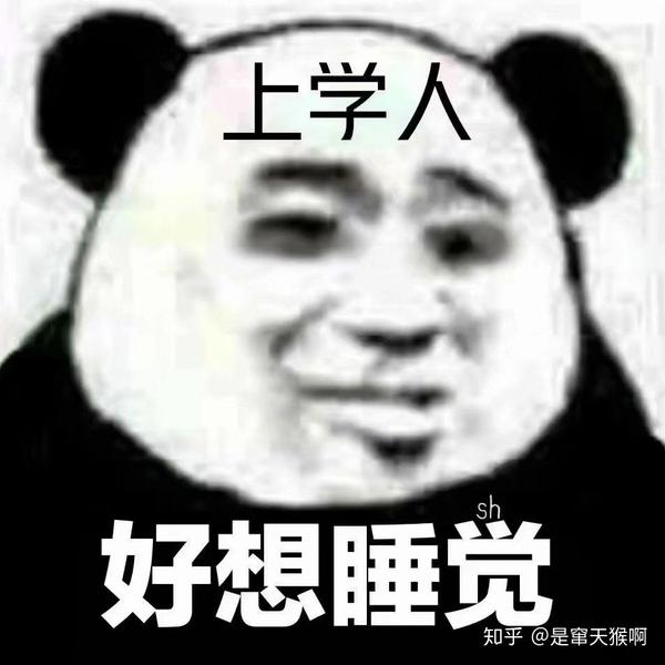 【小熊猫读书人表情包】晚安读书人!沙雕可爱表情包!