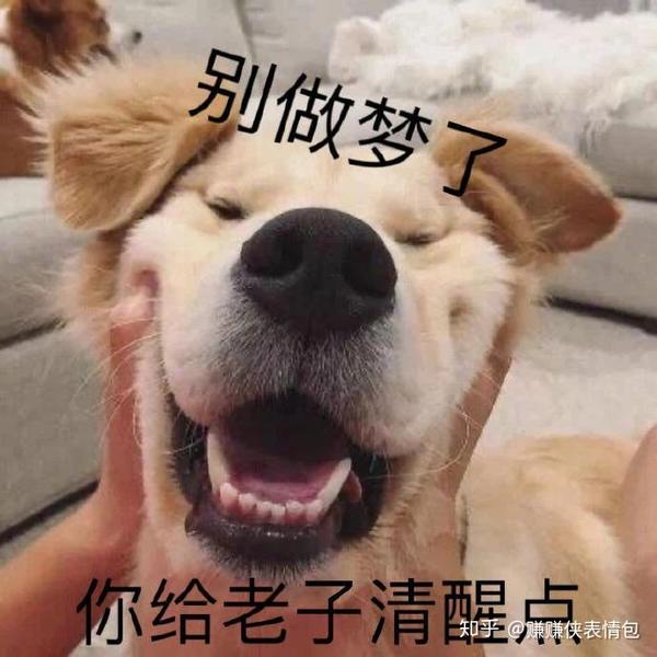 搞笑表情包图片:你快清醒点