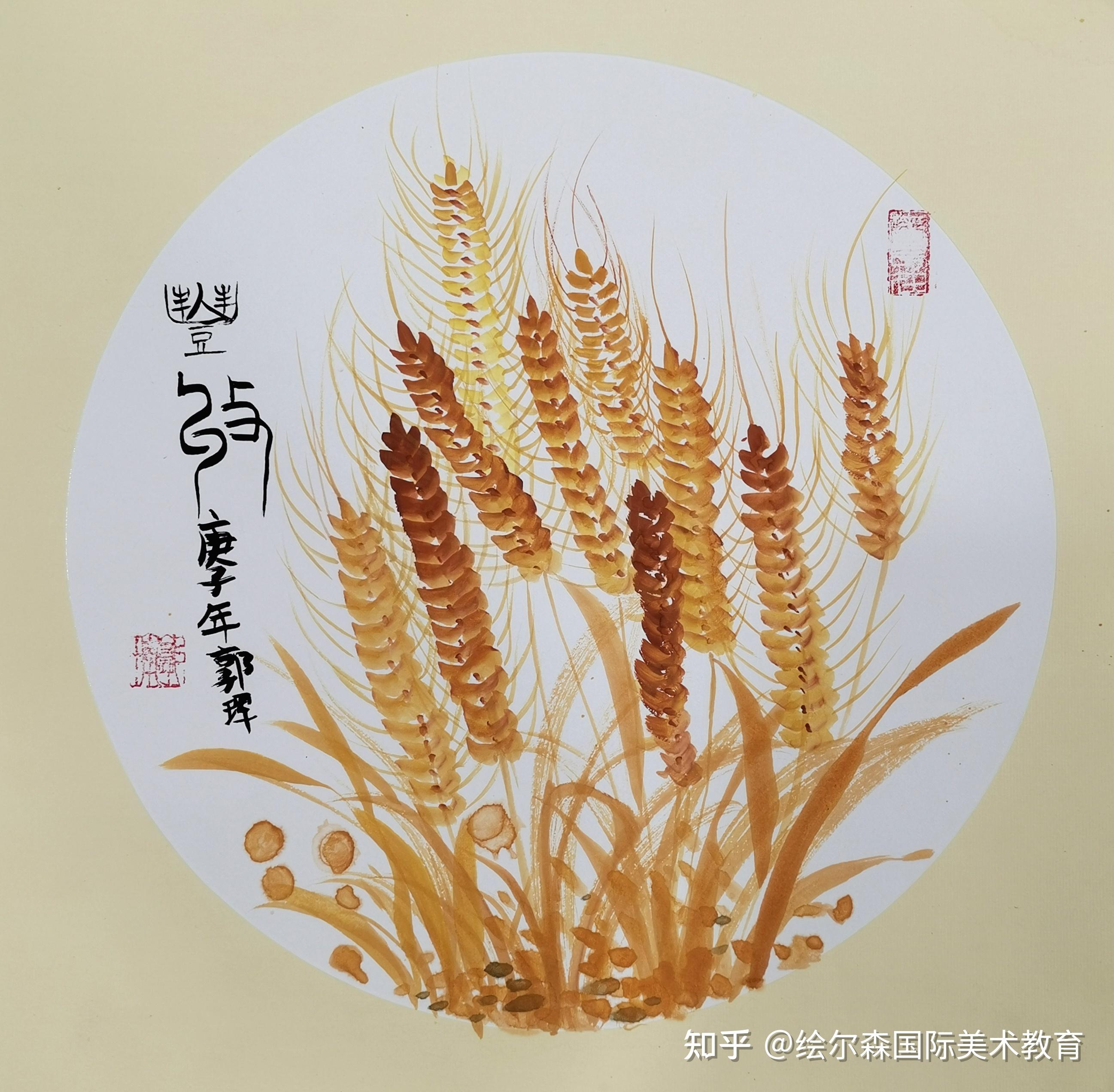 今日芒种又是一年麦子丰收时