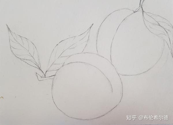 day 29油画棒教程—《黄桃》