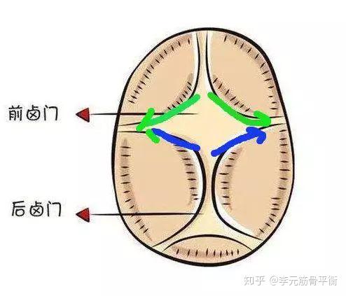 中医话小儿健康之囟门辨病治病5运动的颅骨