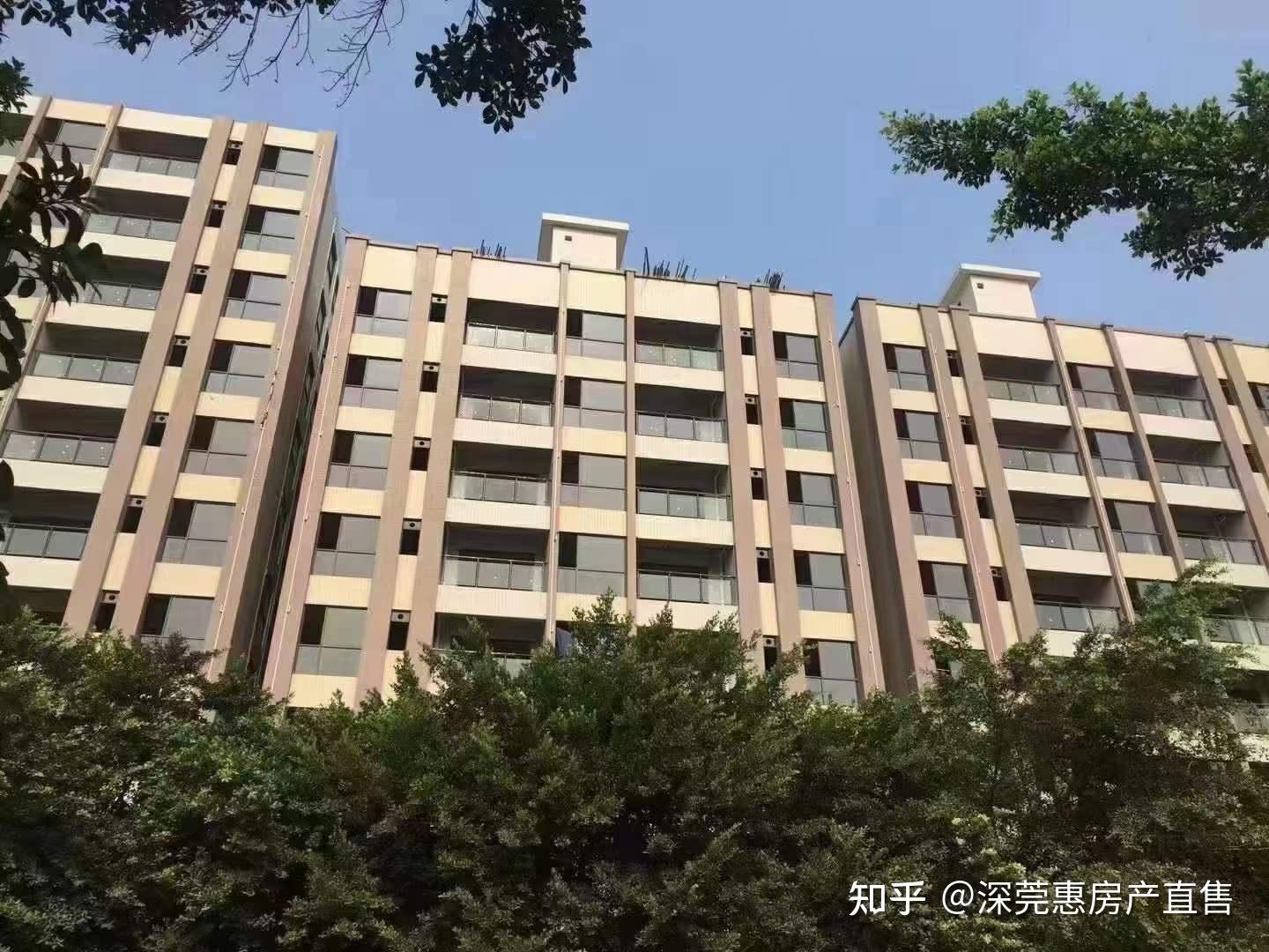 观澜村委统建楼新城湖滨花园3栋社区可落户带停车场