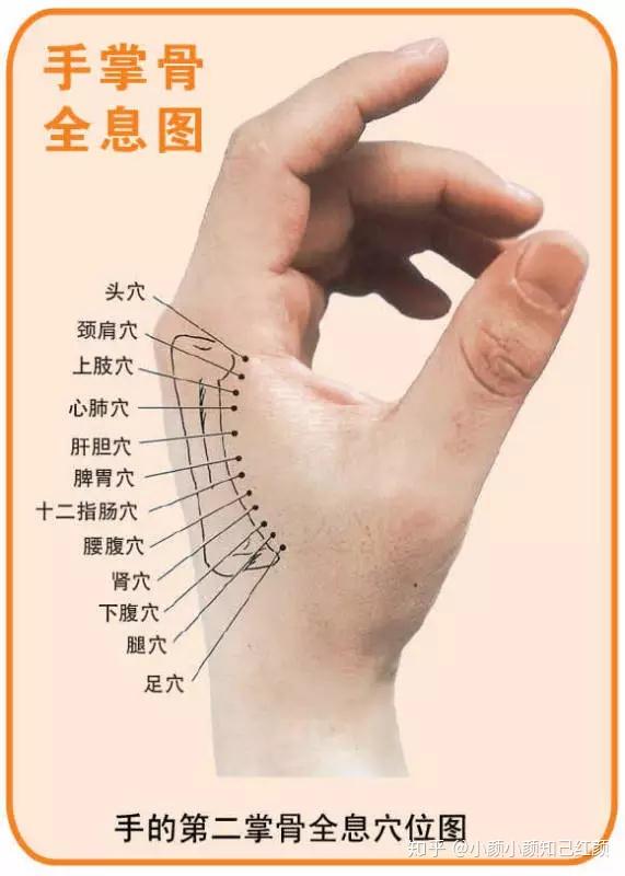 背诊断学,五行背诊 ,中医察言观色诊断!