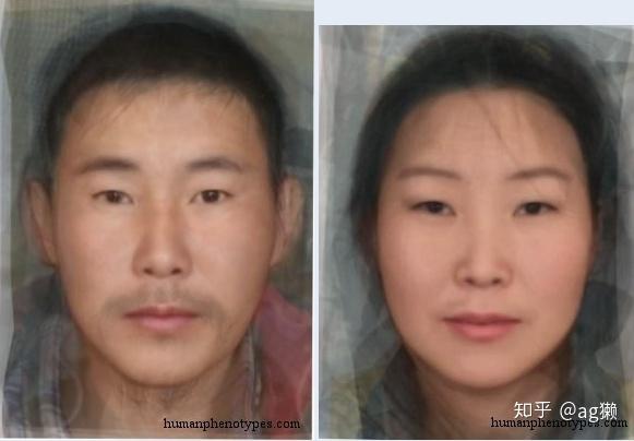 西伯利亚型(sibirid)发现于西伯利亚土著中的古代北亚类型.
