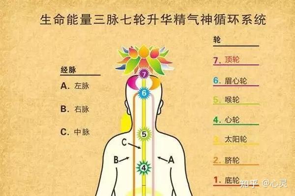 所谓七轮,就是:顶轮,眉间轮,喉轮,心轮,脐轮,海底轮,梵穴轮.