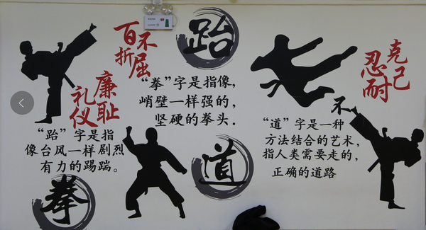 我觉得中华武术是国人的骄傲,自幼习武的我,应该将这种精神传承下去