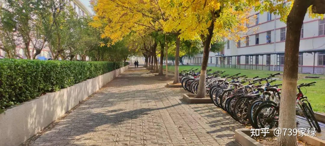 如中国石油大学胜利学院,转设之后成为省属公办院校山东石油化工学院