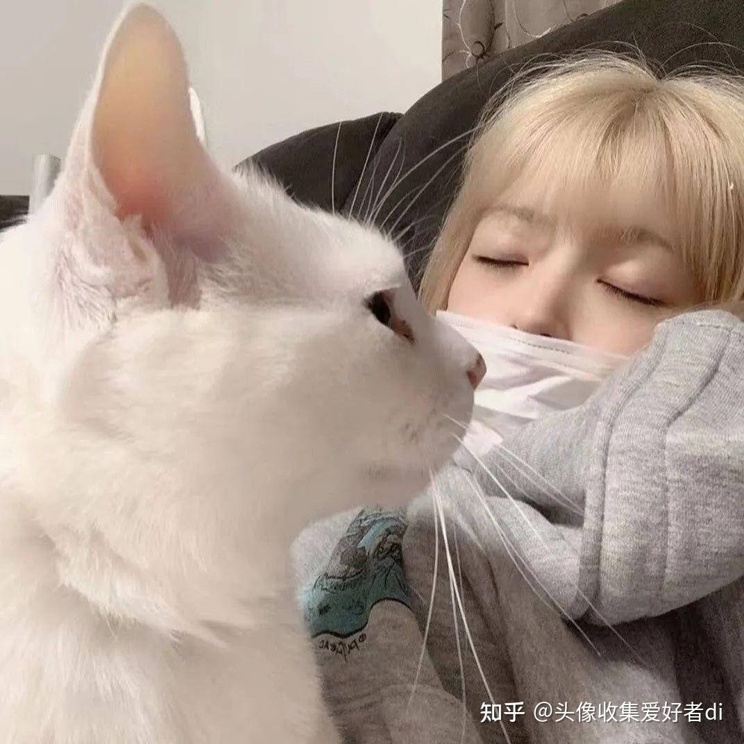 抱猫女头爱笑的女生气质清冷的女头