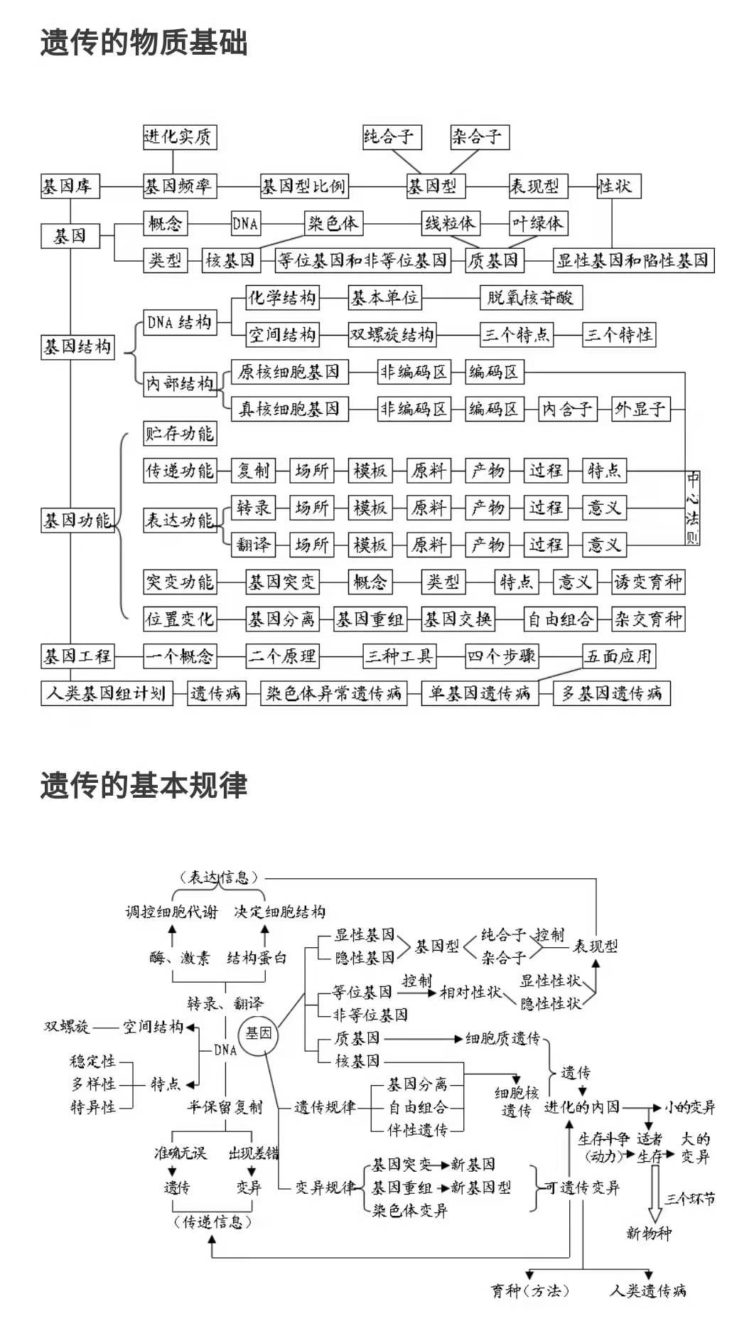 高中生物复习必备知识结构图全汇总附填空版期末复习题