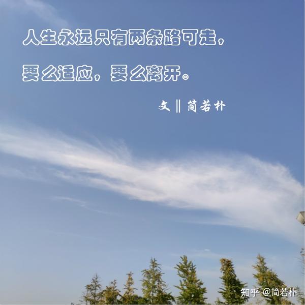 人生永远只有两条路可走:要么适应,要么离开