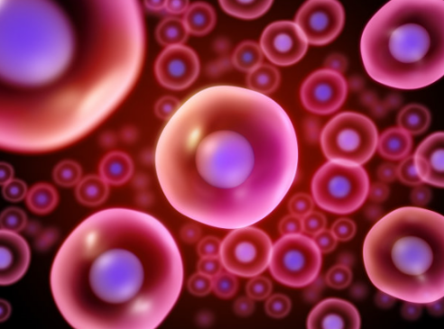 干细胞 干细胞的生物学特性 自然界的各种生物都是由细胞组成并维持