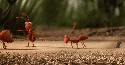 小时候我常看到路边一只死去的蝉身边围着一群蚂蚁,它们