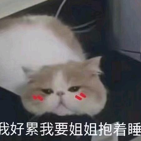 有哪些可以哄女朋友的表情包