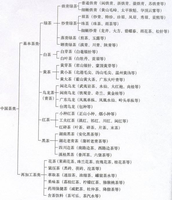 茶叶品类有哪些划分标准每种茶有哪些代表名品