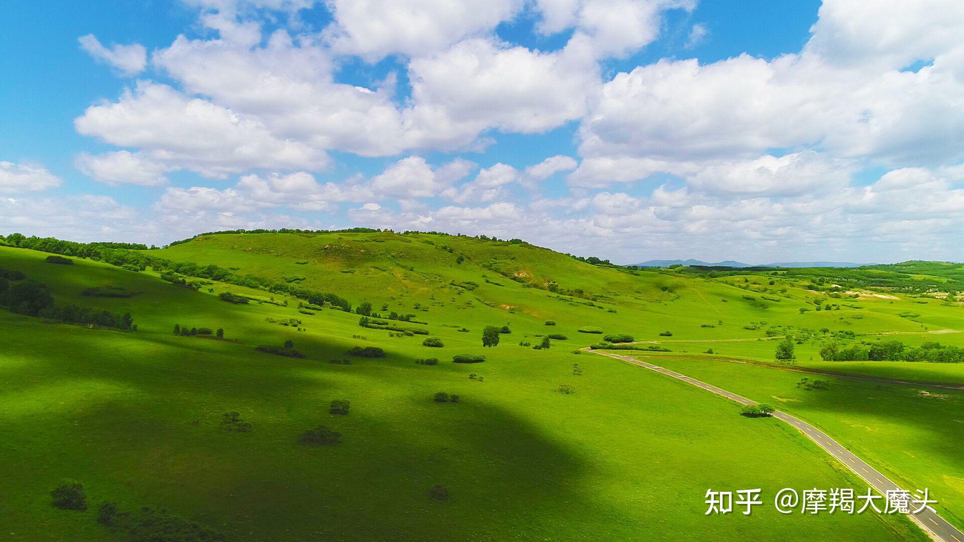 去大草原撒欢御道口草原森林风景区
