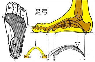 3.影响足底压力