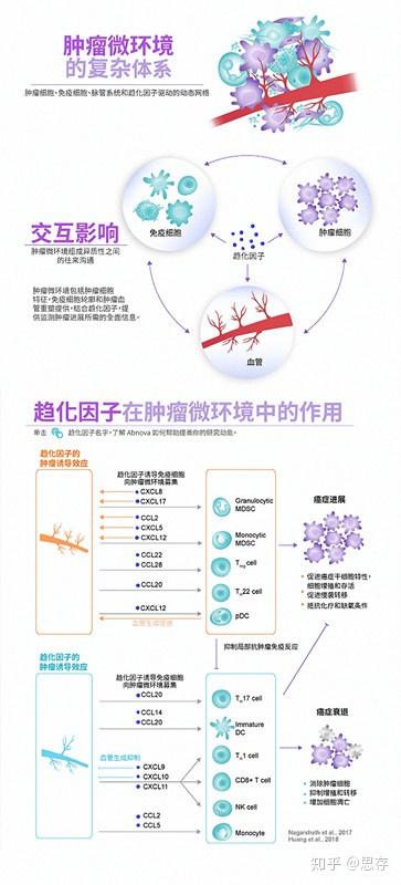 趋化因子,免疫细胞,肿瘤细胞之间的交互影响