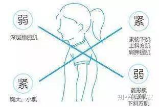 姿态再加上每天长时间的低头玩手机,过多的肩内旋动作导致了胸部肌肉