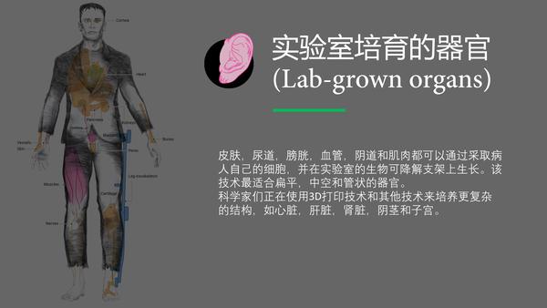 现代的弗兰肯斯坦将如何运用生物技术创造新的怪物