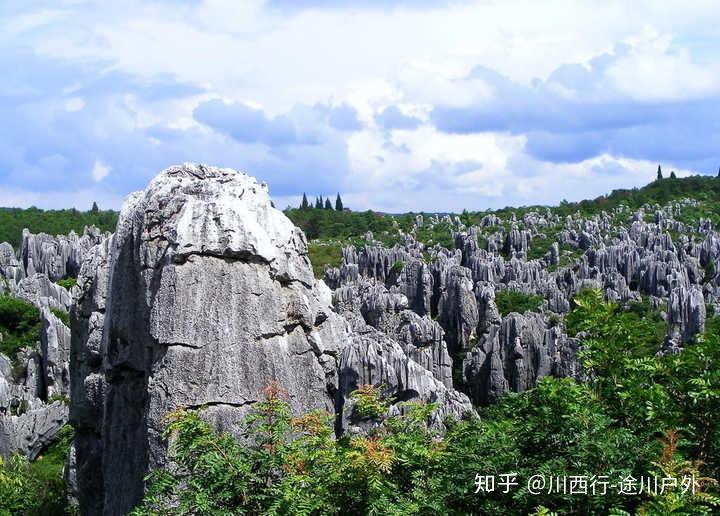 走进崇左石林景区,矗立在你眼前的是一片片灰色拔地而起的山柱,而这些