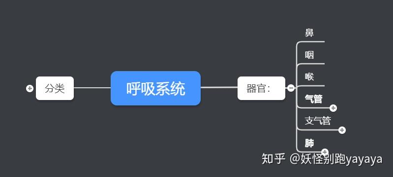 呼吸系统知识点思维导图