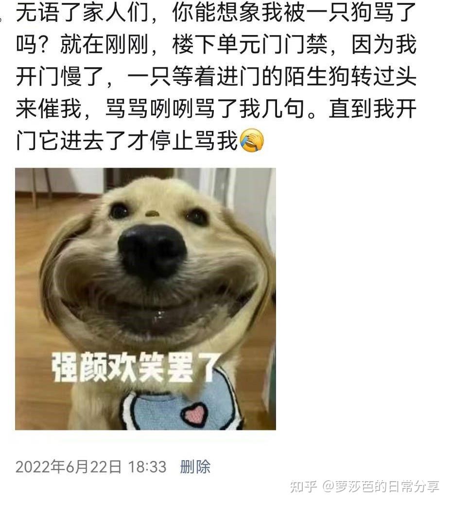 大无语事件谁能想到我被一只狗骂了 知乎