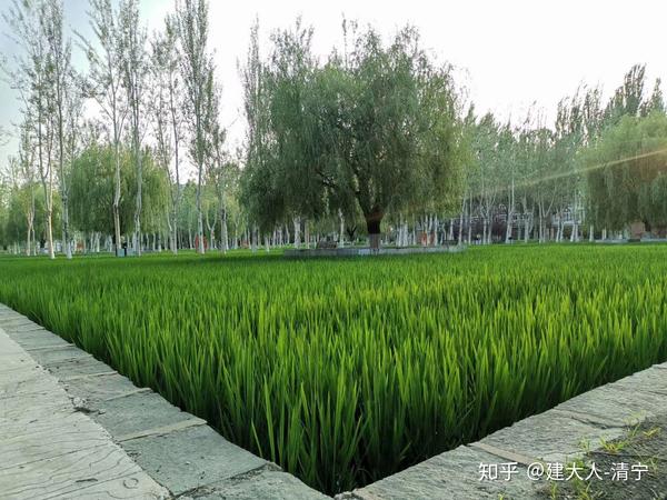 沈阳建筑大学:东北的一所另类大学