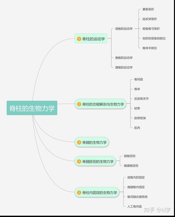 康复思维导图