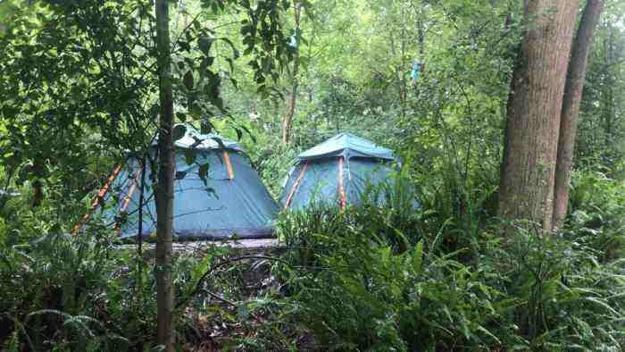 铁山坪草野星空露营基地攻略周末带着家人走起