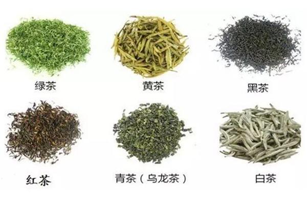 中国茶类分为 绿茶,白茶,黄茶,乌龙茶(青茶),红茶,黑茶6大类