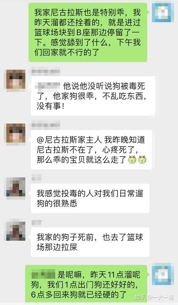 事发小区的业主群聊天记录