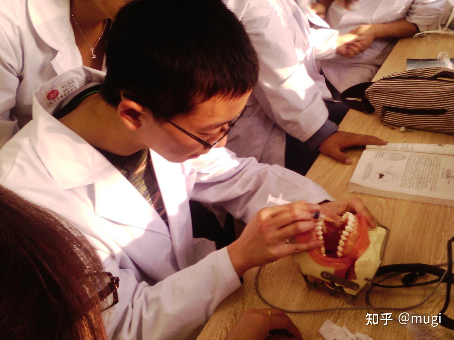 目前有对接临床医学,口腔医学,预防医学,中医学,针灸推拿的公办院校