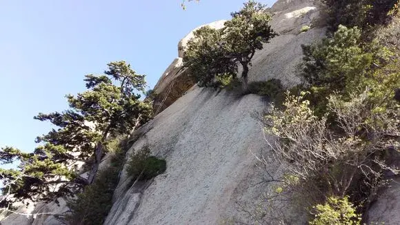 华山石崖远眺白崖近看松华山险道步从容