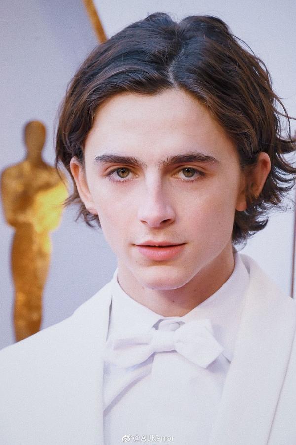 甜茶 timothée chalamet