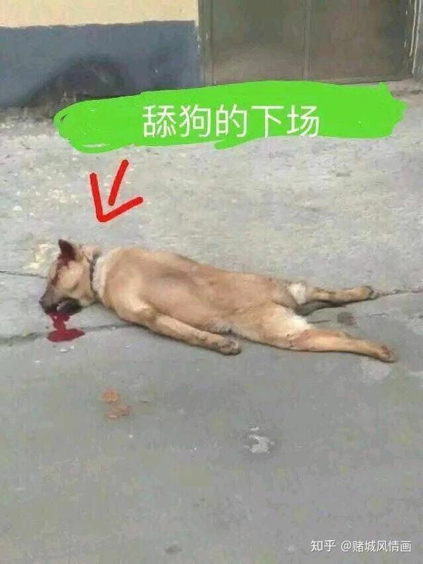 有哪些沙雕表情包?