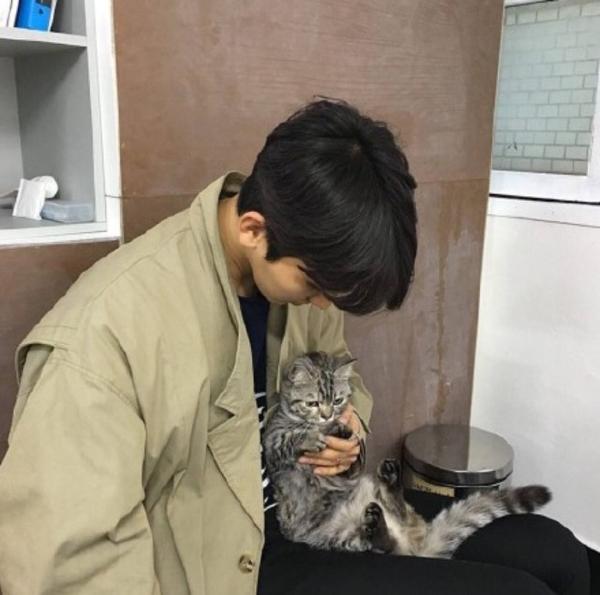 有哪些好看的适合男生的微信头像?