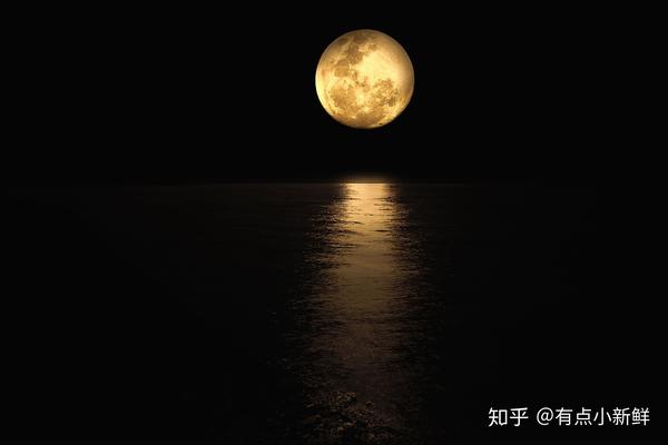 " 大概是夜太长太寂寞 大家习惯在深夜还不愿放下手机 深夜独自一人的