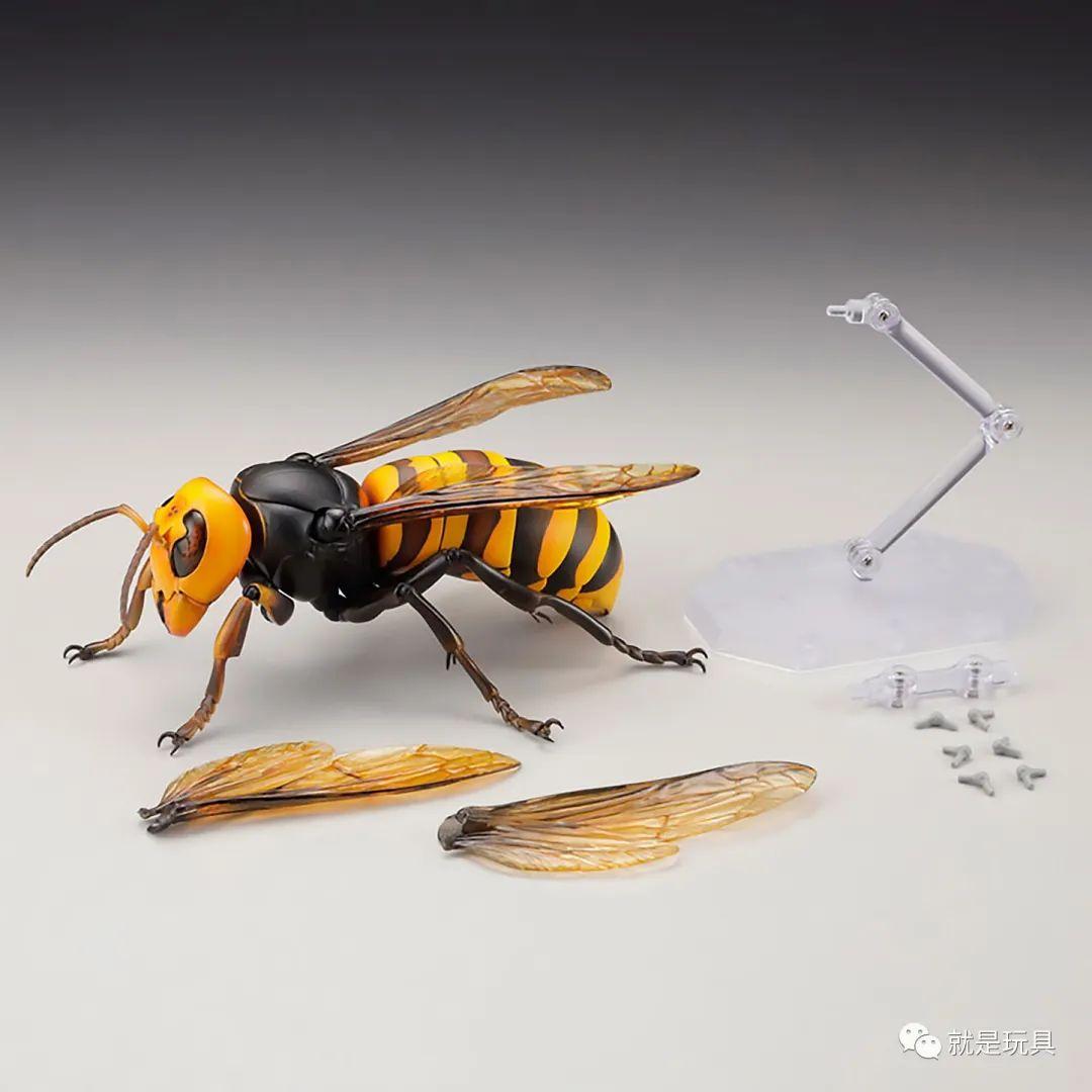 海洋堂究极可动生物这才是大黄蜂的真大哥
