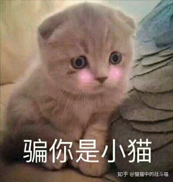 摩羯的女生都不爱撒娇吗?