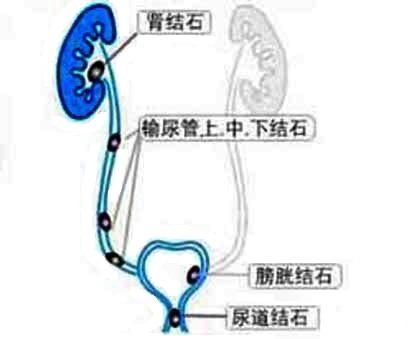 我的收藏夹