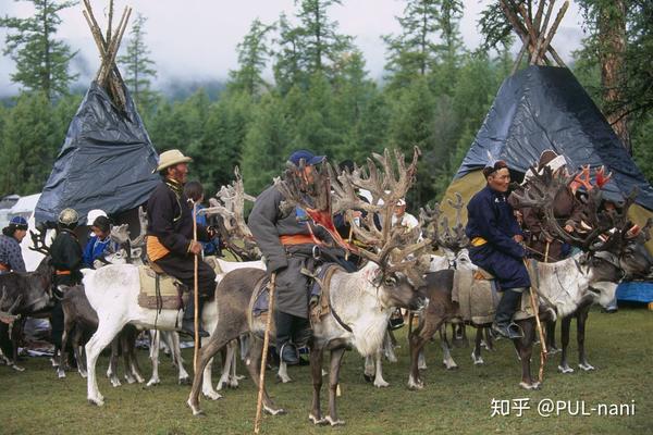 探访蒙古国查坦人驯鹿部落记录影像