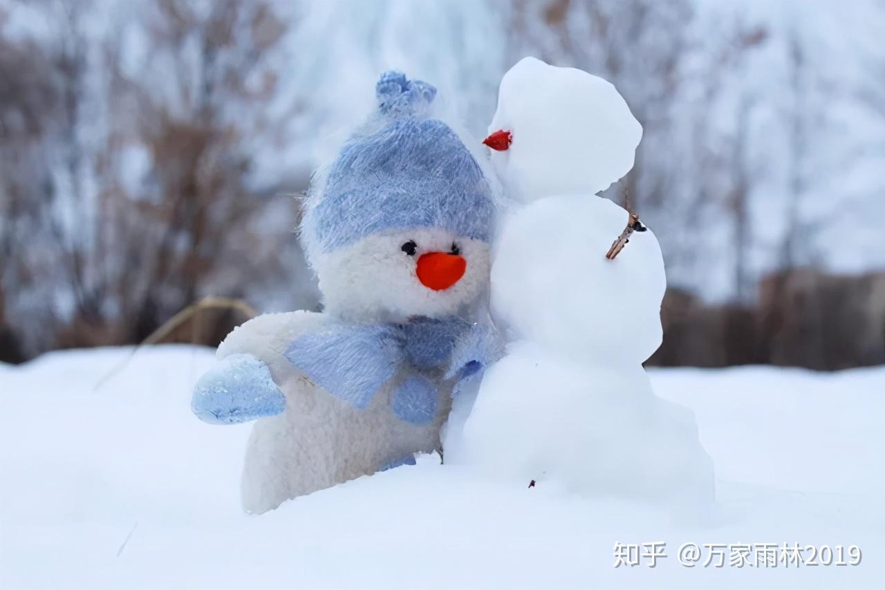 大雪至仲冬始万物冬藏静待春来