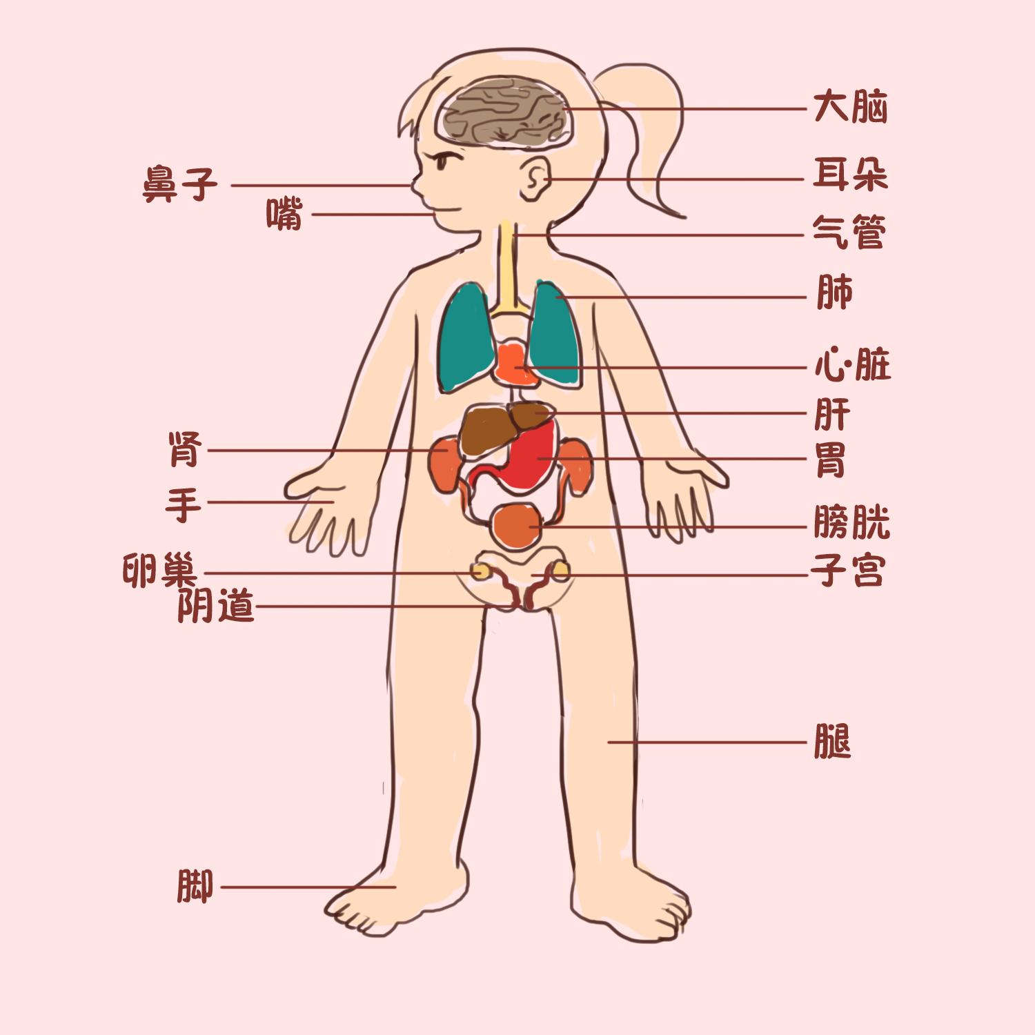 如何给孩子进行性教育简单可操作